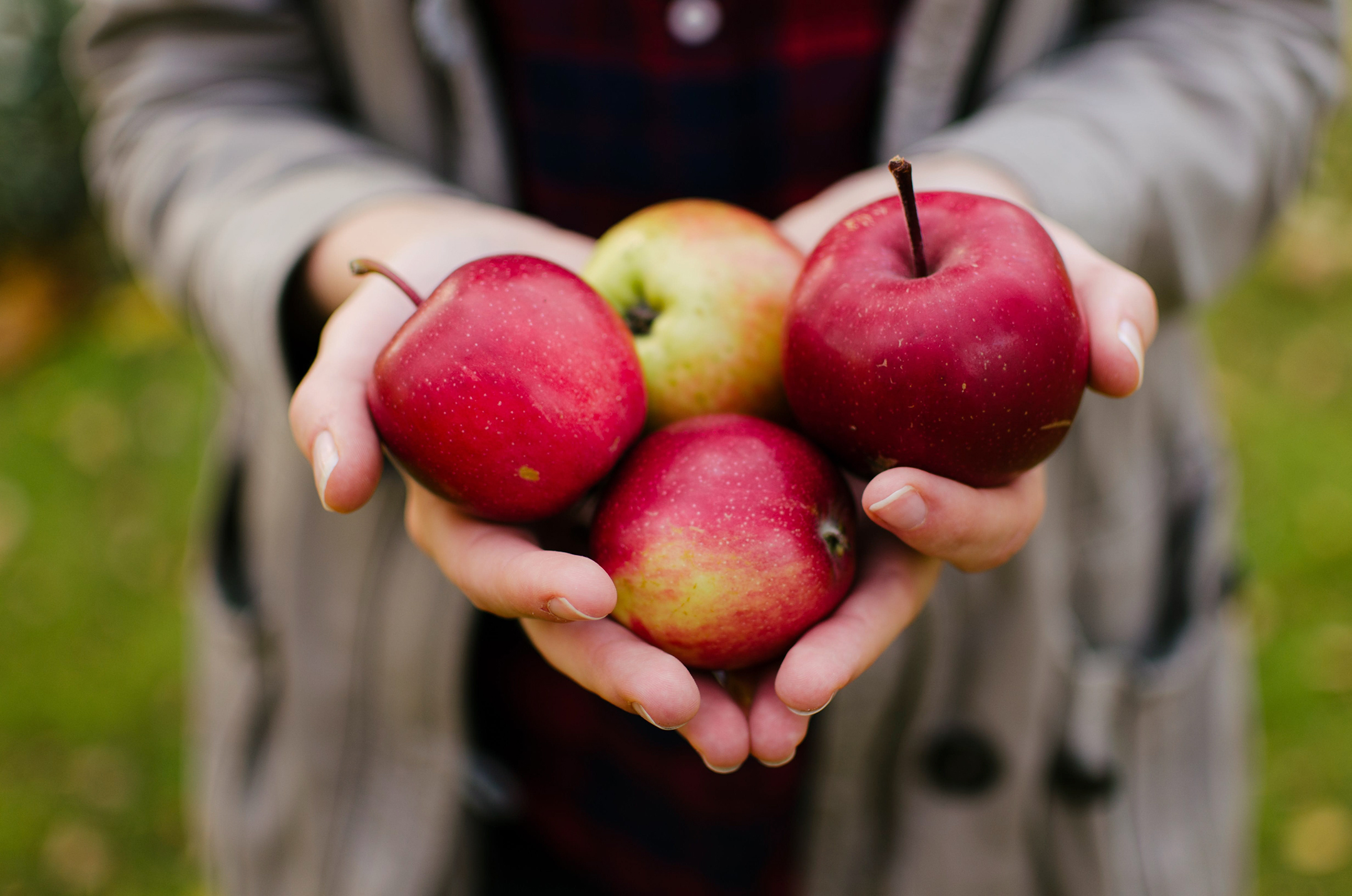 ApplesHands_aaron-blanco-tejedor-390113-unsplash-min.jpg