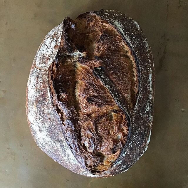 Dear Bread: This is how you should always look. Thankfully, since we made the switch to @nightmovesbread it comes to us this way every week. Spongy sourdough w a proper crust, made from sustainably grown #mainegrains . Enjoy it w our pork rillette sandwich, smoked w this year's apple prunings, or as the perfect canvas for our cured meats and cheeses. So. Good. #mainebread #localflour #bread #sourdough #crust #farmtotable #dough #wheat #bestingredients #maine #mainerestaurants #ciderbar #perennialciderbar #belfastmaine