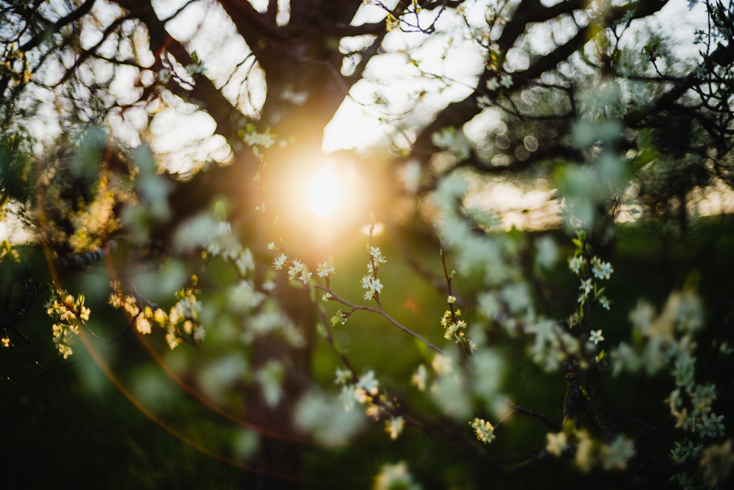 oliver-hihn-657695-unsplash-min.jpg